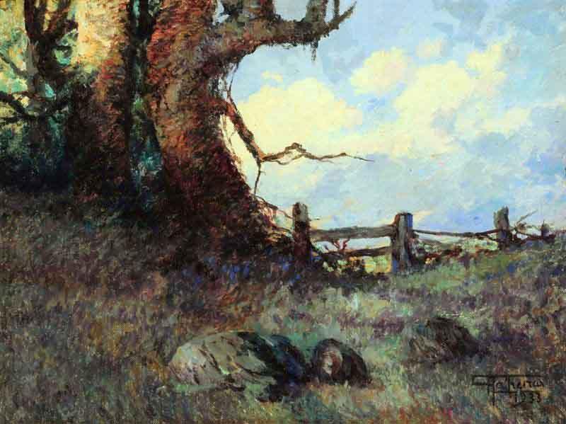 Antonio Parreiras Farm gate